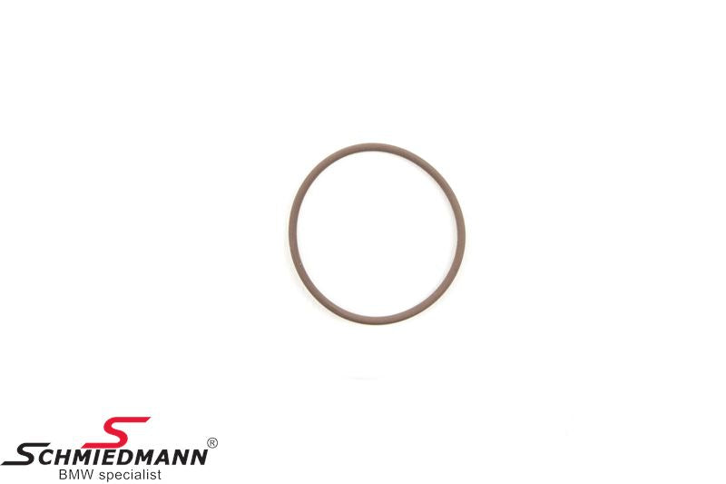 Oil Pipe O - Ring for BMW 5 Series (G30) 2017 - 2025 - B11717794785