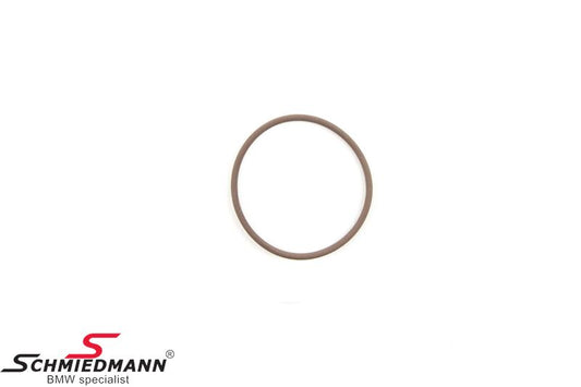 Oil Pipe O - Ring for BMW 5 Series (G30) 2017 - 2025 - B11717794785